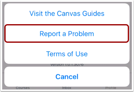 Report a Problem