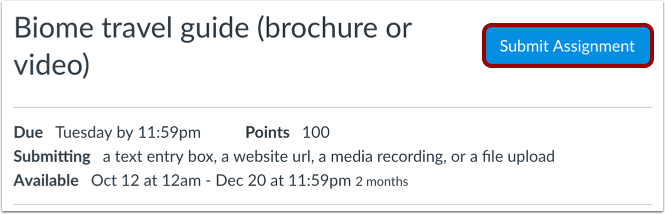 Submit Assignment