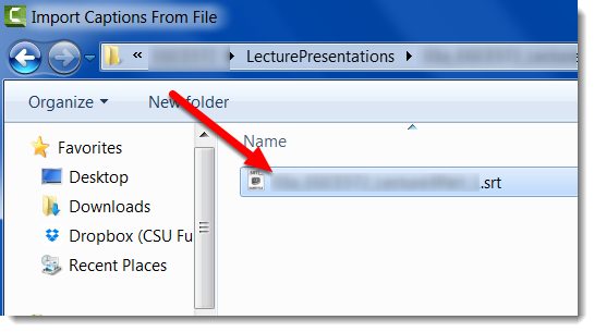 SRT captions file selected.