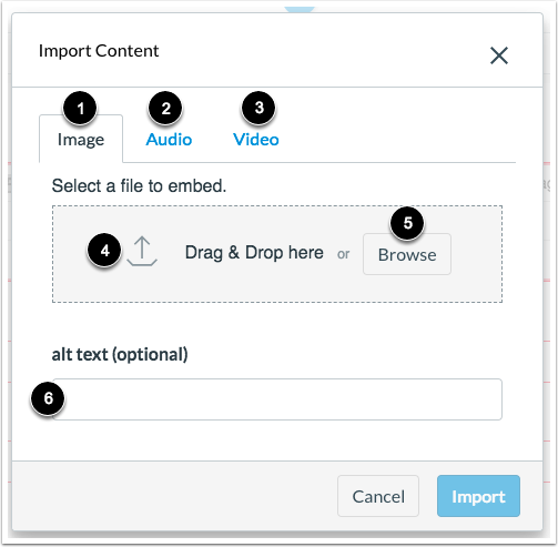 Import Content Options
