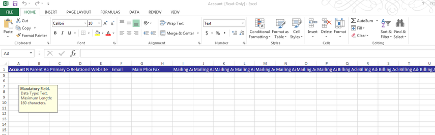 An XML Spreadsheet will open and you will be able to enter your data. *Note that you don't have to fill in every field for the import to work but some fields are mandatory. When move your cursor over the spreadsheet you can see information about each field.