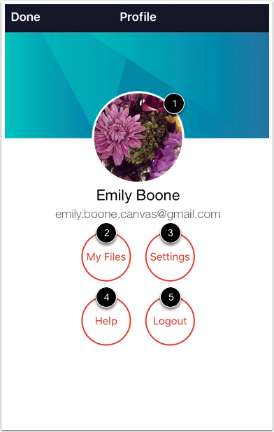 view profile options