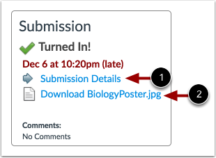 View Submitted Assignment