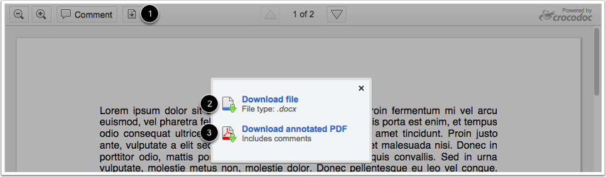 download all files canvas