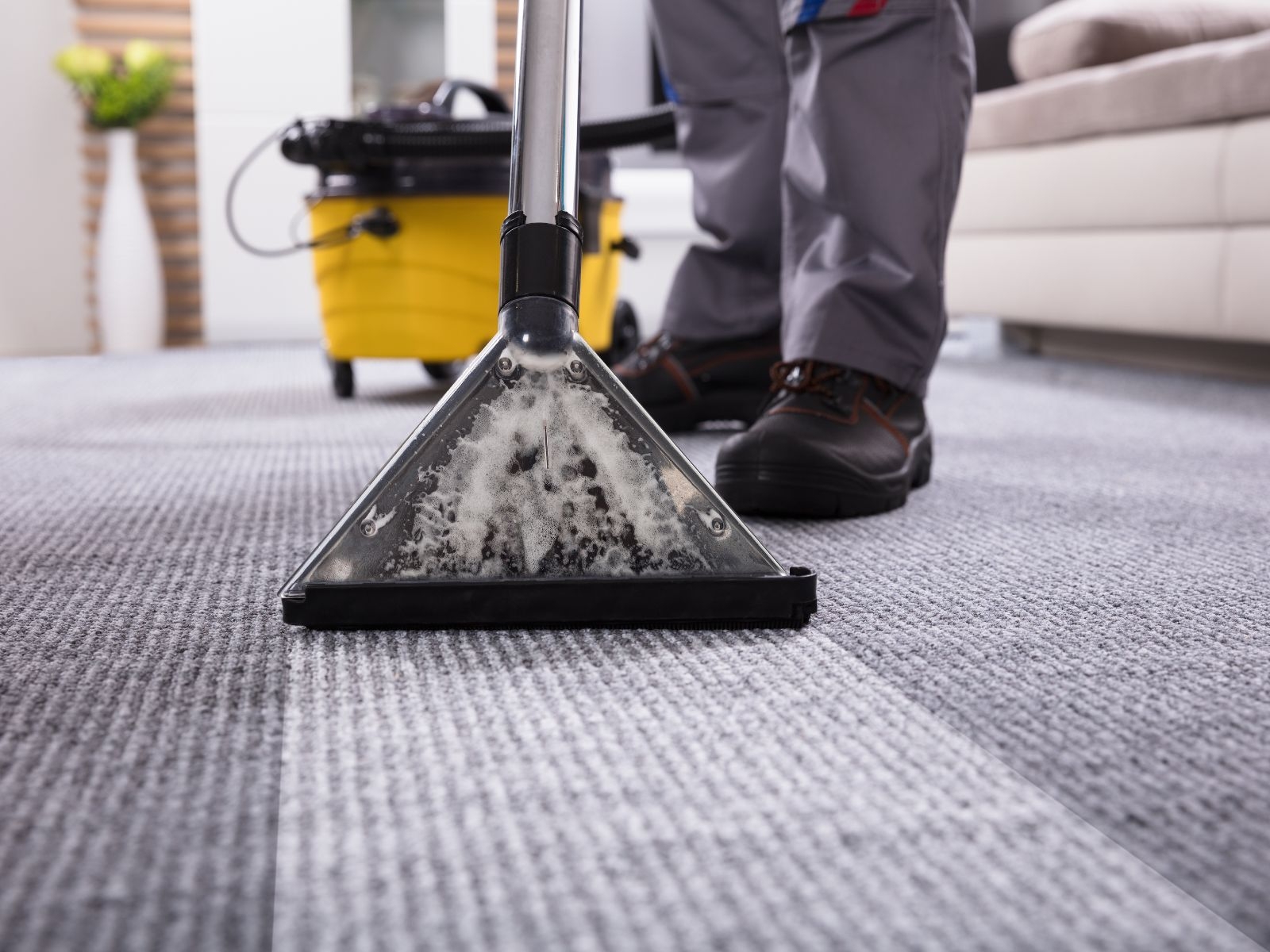 Key Elements Included in a Professional Deep Clean
