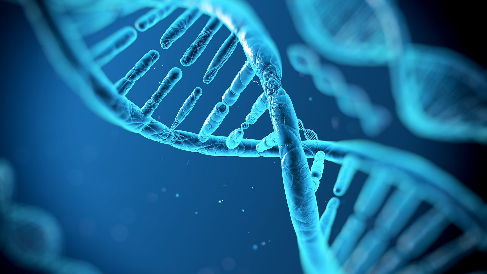 「DNA」の画像検索結果