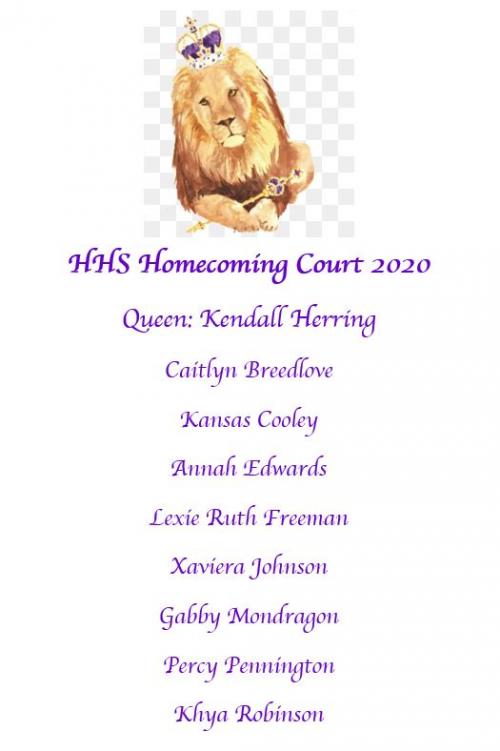 Hamburg School District Home