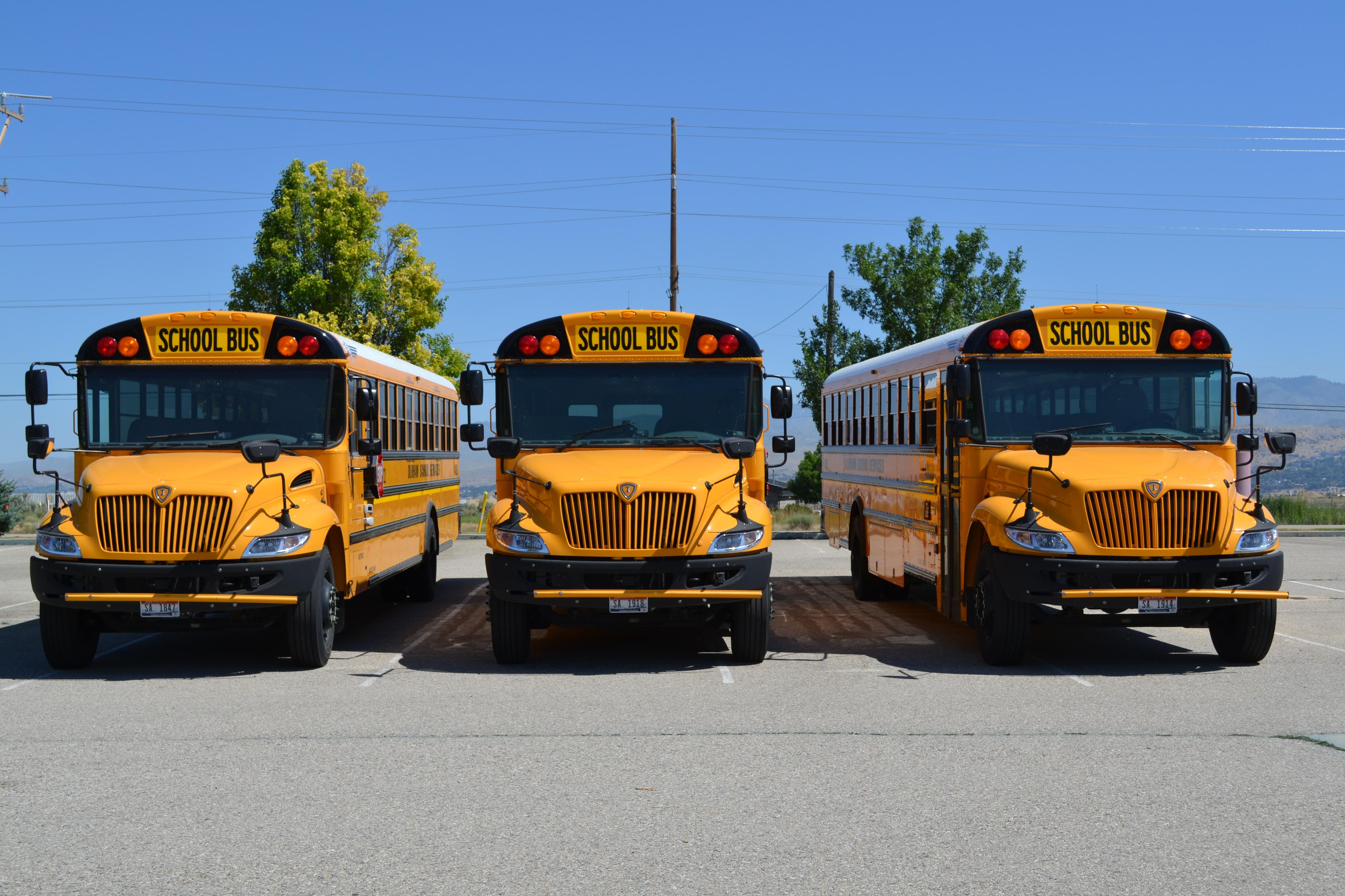 Three yellow school buses parked in a row on a sunny day.