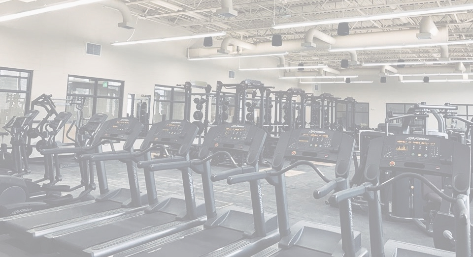 A bright, well-lit gym with rows of treadmills and exercise equipment.