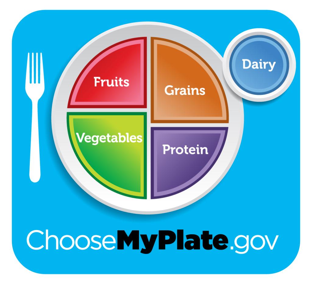 My School Lunch Healthy Plate