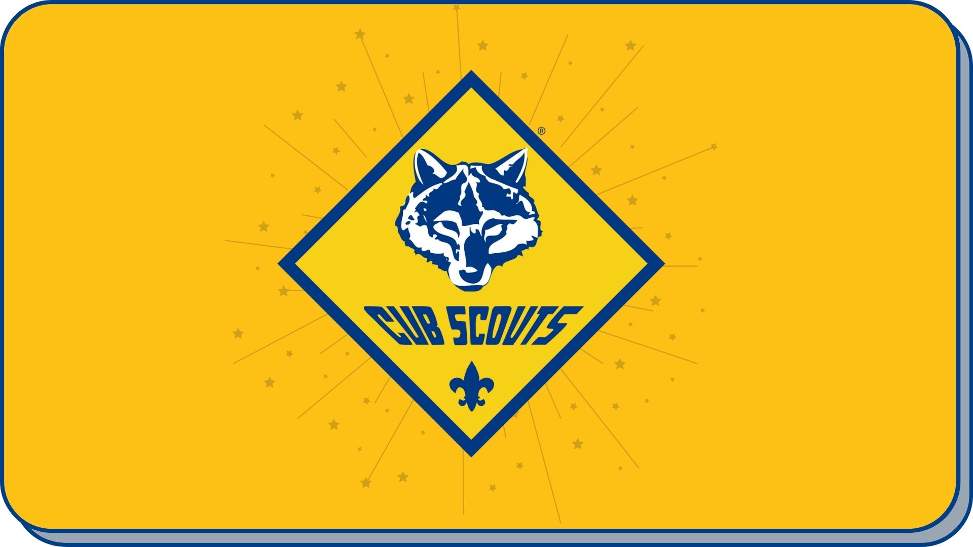 A yellow flag with a blue diamond emblem featuring a wolf's head and the text 'CUB SCOUT'.