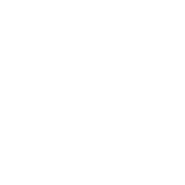 A white YouTube play button icon.