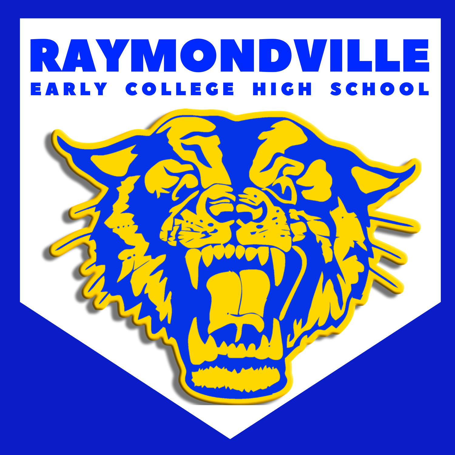 Raymondville I S D HELP DESK STUDENT ISSUED DEVICE