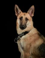 Tillman Coco Chanel photo