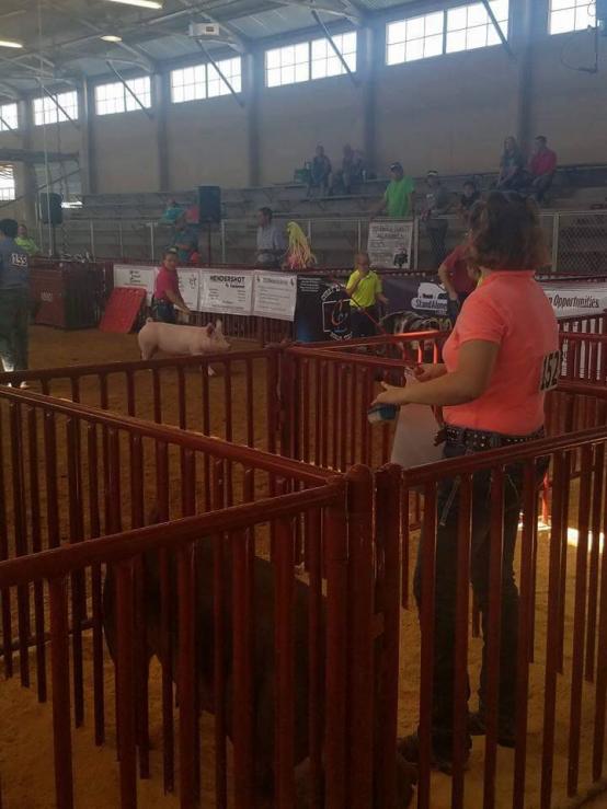 Paint Rock Independent School District Home