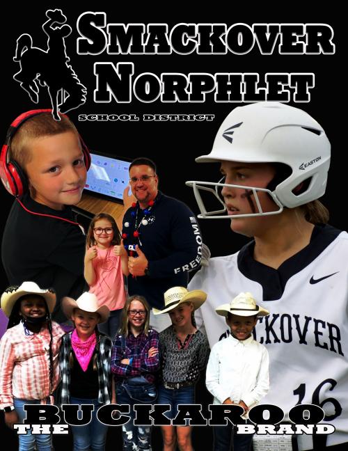 SmackoverNorphlet School District District