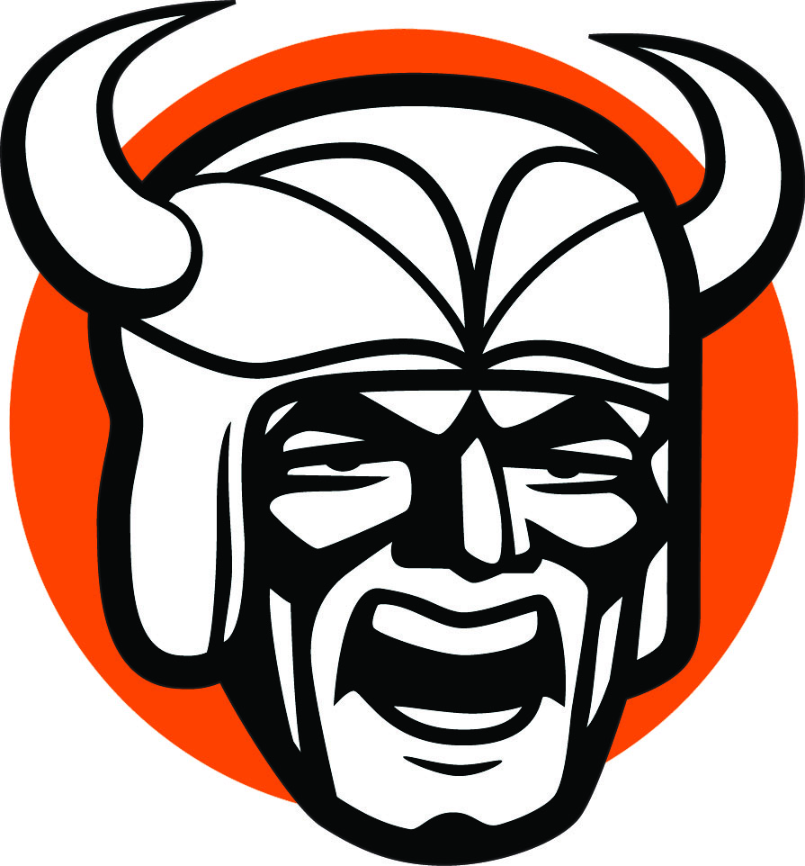 Hoover Viking head logo