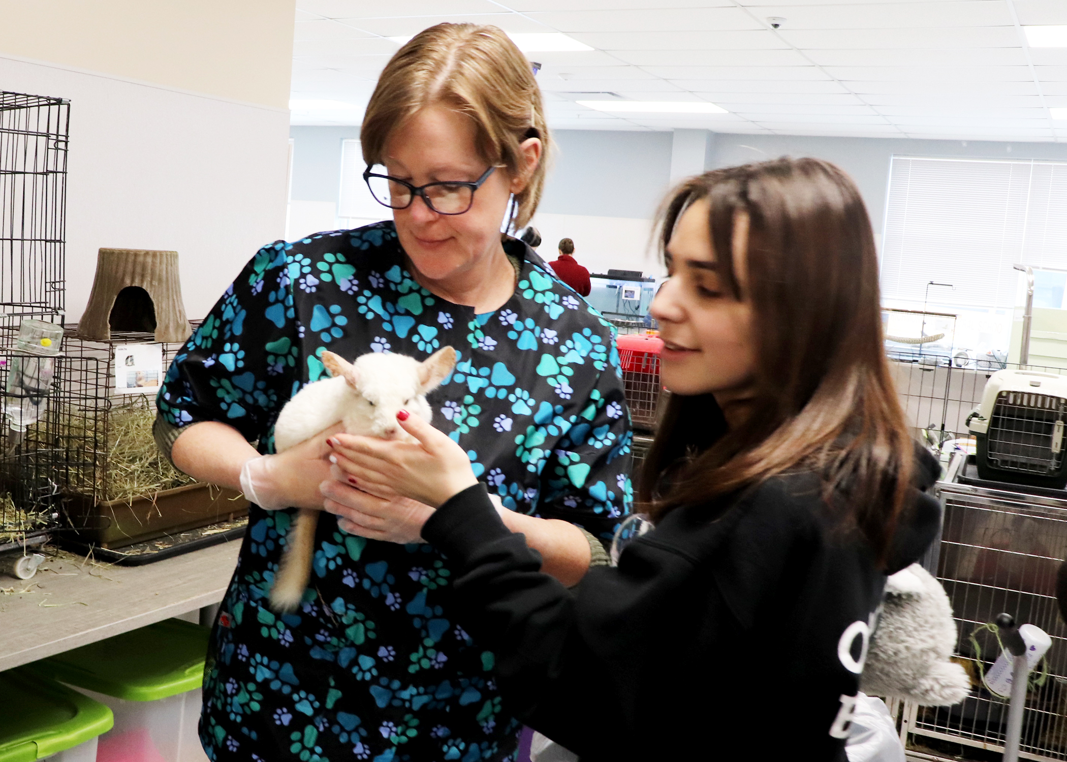 Student learning about animal care at BOCES CTE