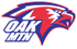 Cartoon drawing of the eagle mascot for the Oak Mountain Eagles, with the text Oak Mtn