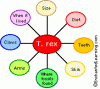 Graphic Organizers