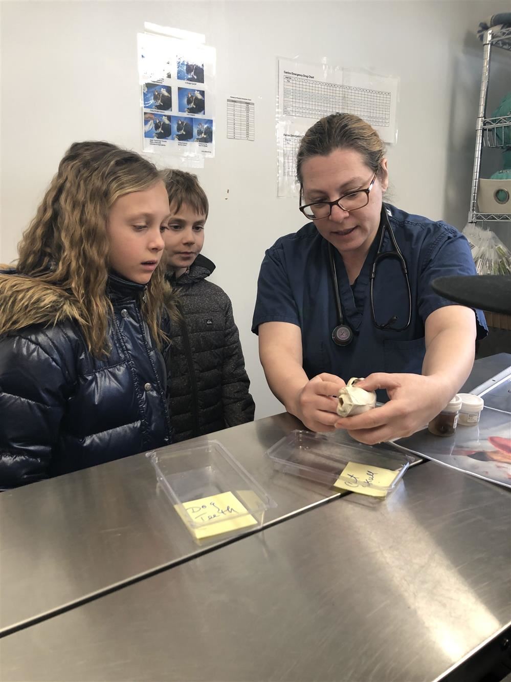 A woman and two children at ARF, engrossed in observing something.