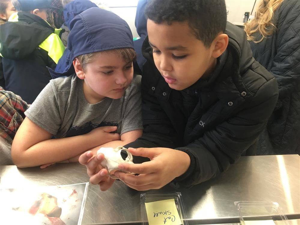 Two boys examining a small object during a visit to ARF.