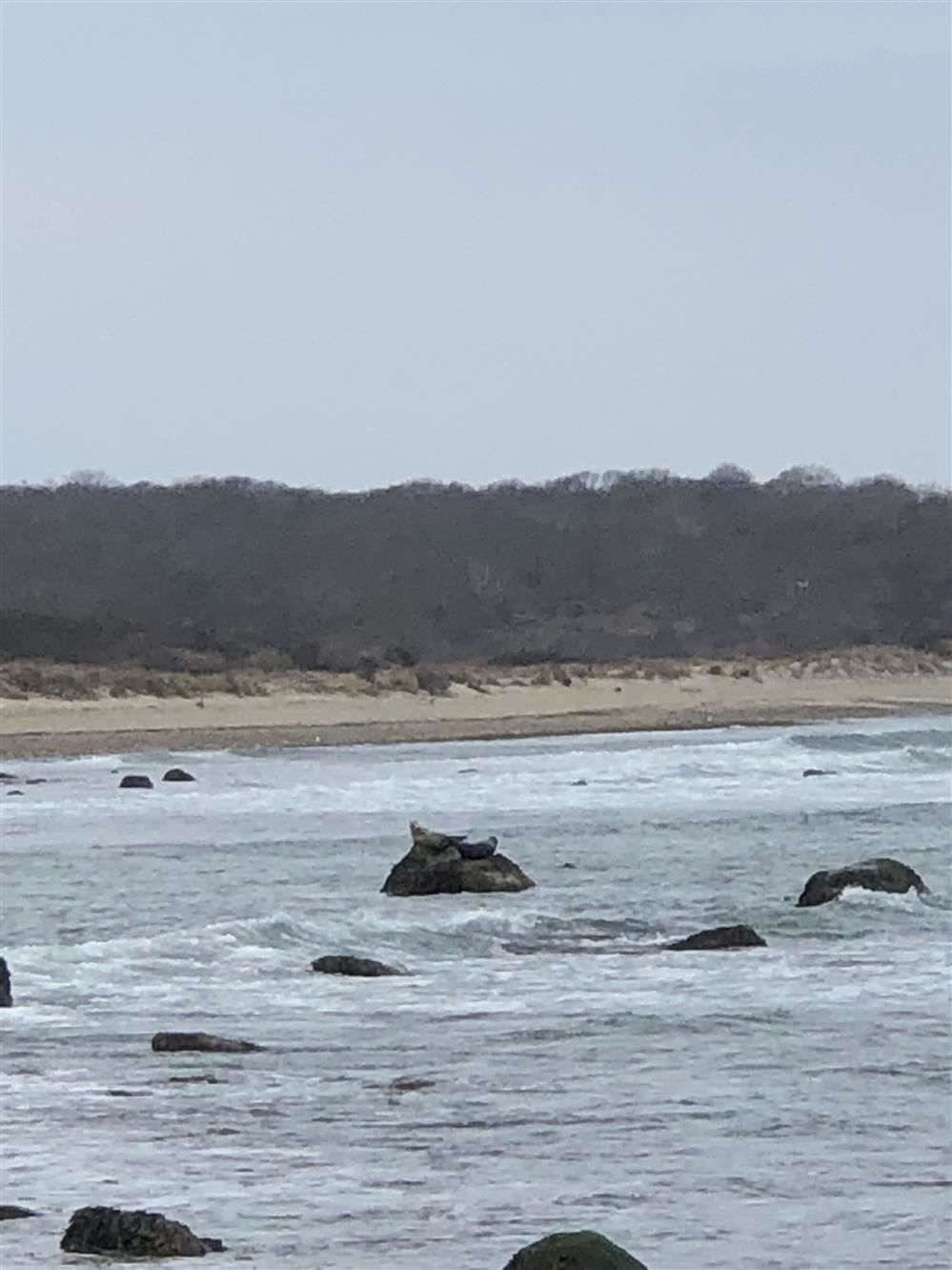calming blue ocean on a sunny day.