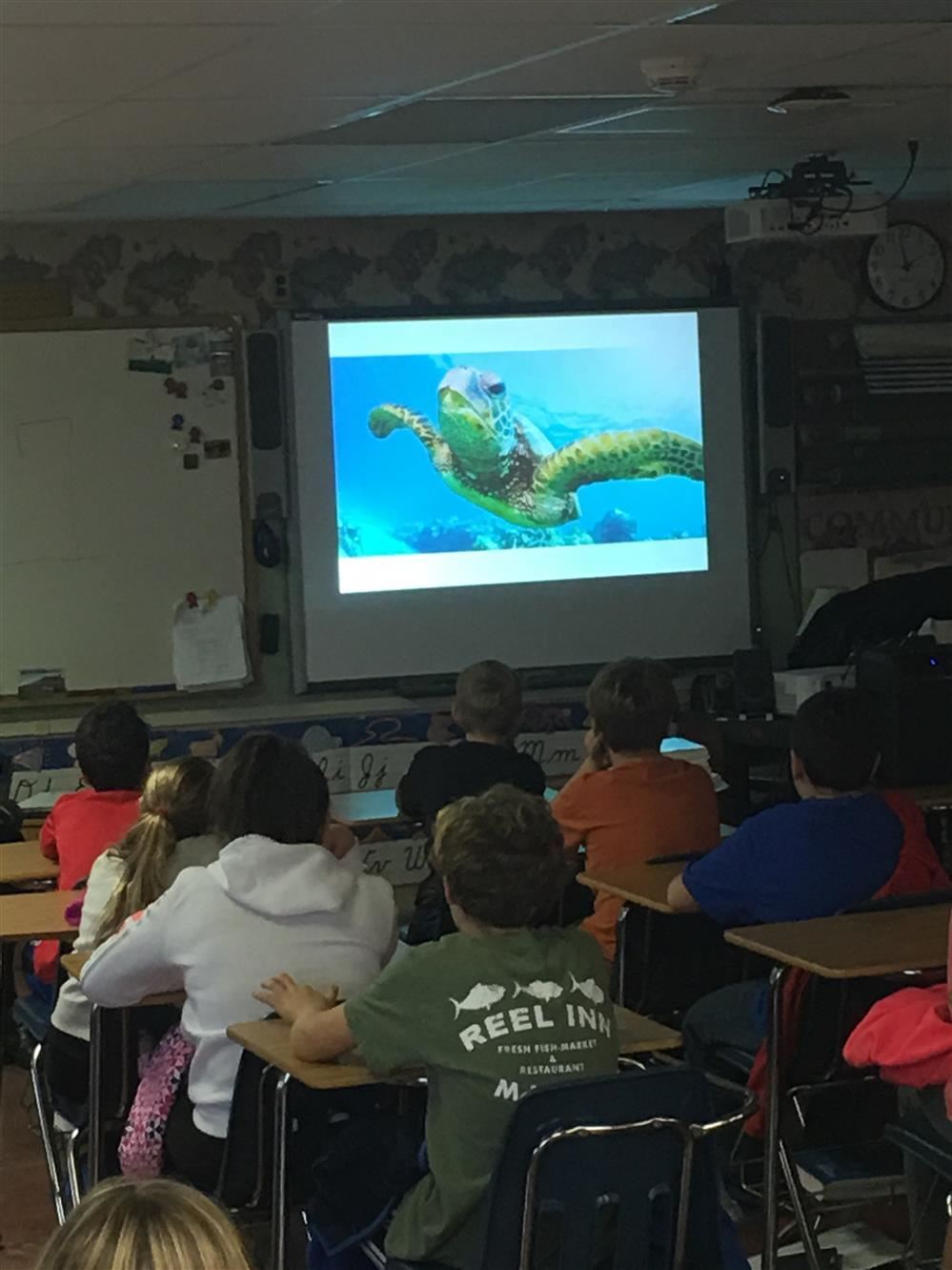 A classroom of children engrossed in a movie on a screen