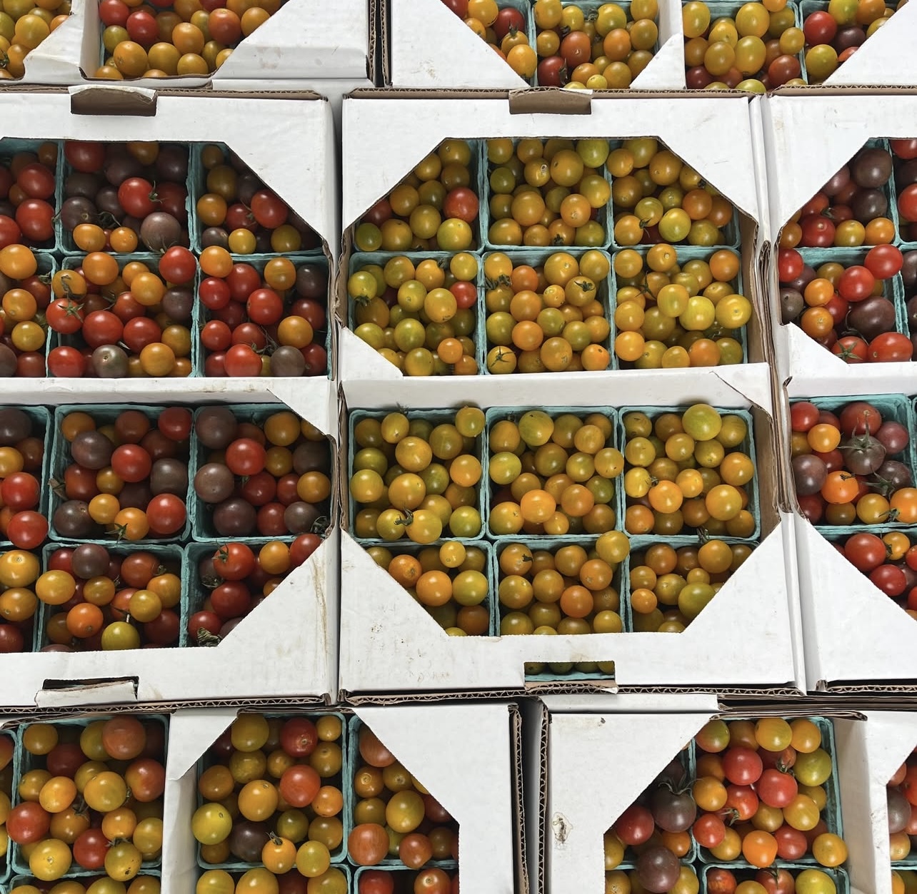 Stacked cardboard crates filled with ripe, colorful cherry tomatoes.