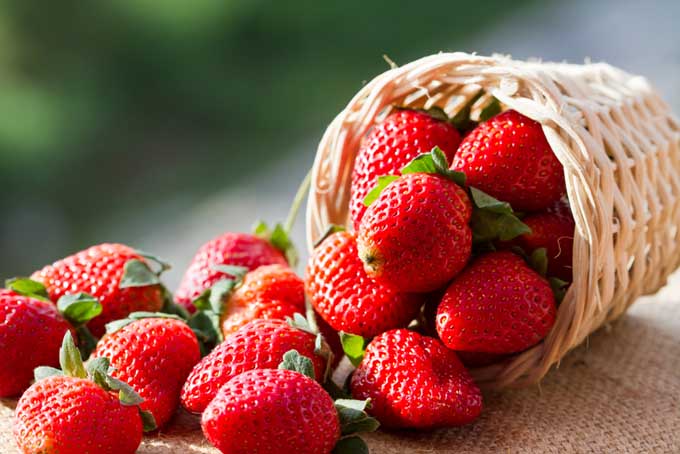 Fresh, ripe strawberries spill from a woven basket.