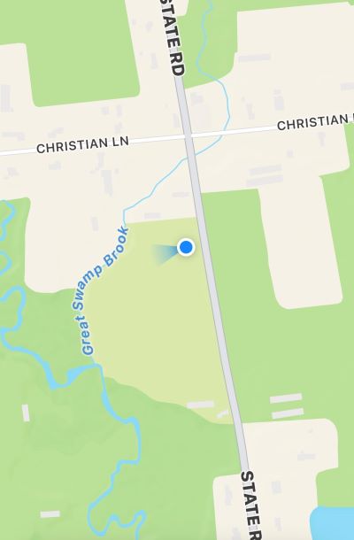 A map shows a blue marker on a green area near Great Swamp Brook and State Road.