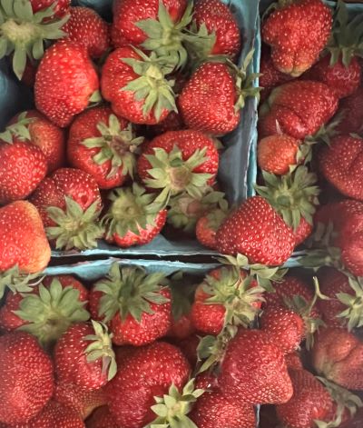 photo: A close-up view of fresh, ripe strawberries in blue containers.