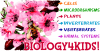 Image that corresponds to Biology4kids
