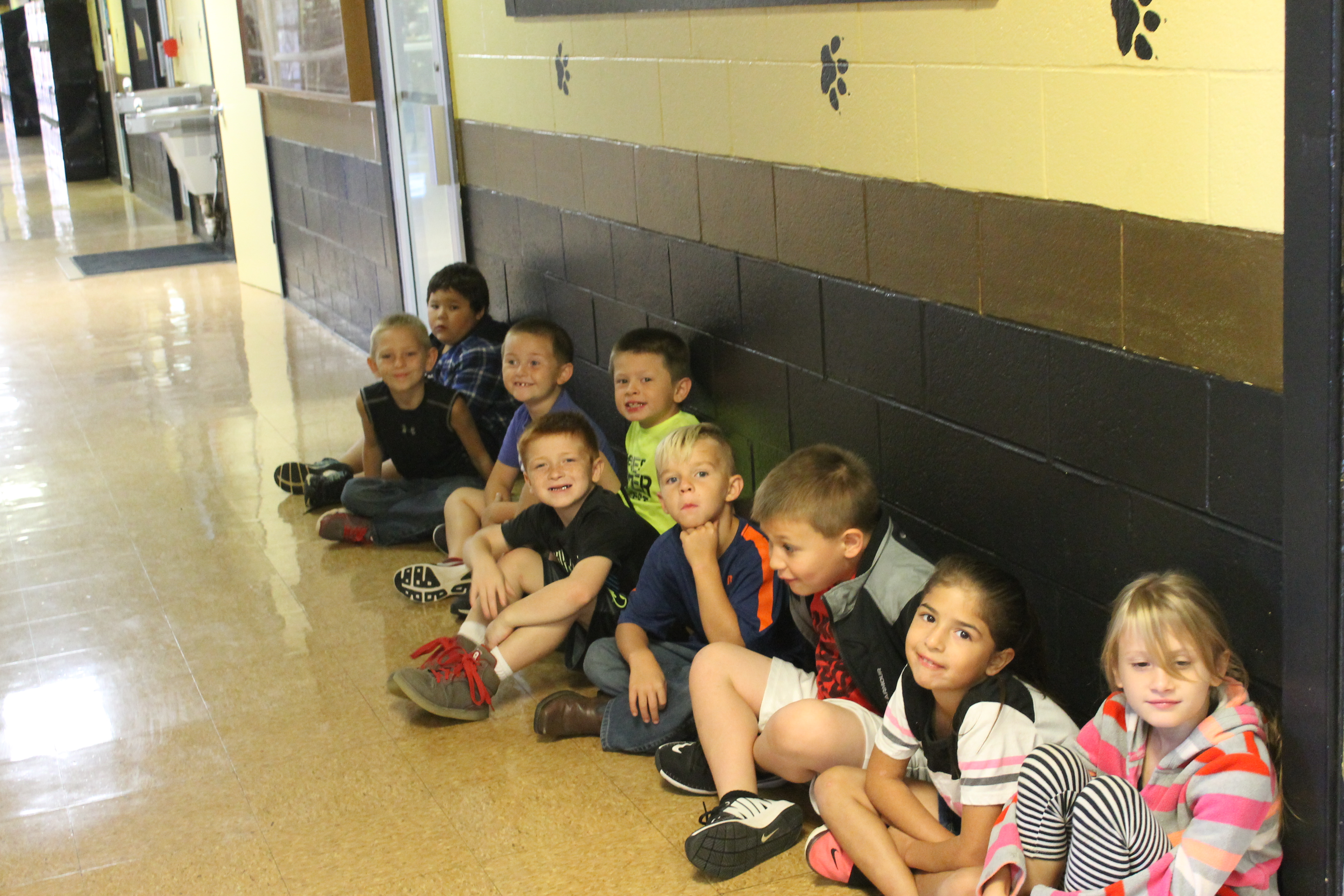 Belfonte Panthers and Bell Bulldogs Home