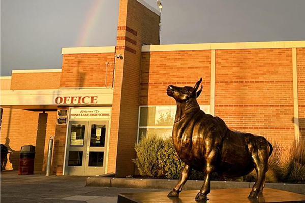 A bronze bull statue stands in front of a brick building with an "OFFICE" sign.