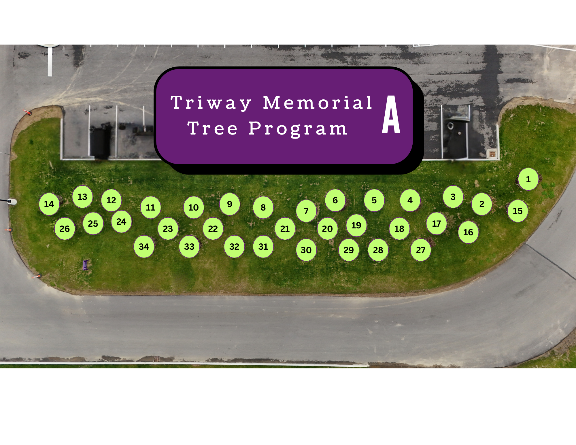 Aerial view of a grassy area with many circular markers, part of the Triway Memorial Tree Program.