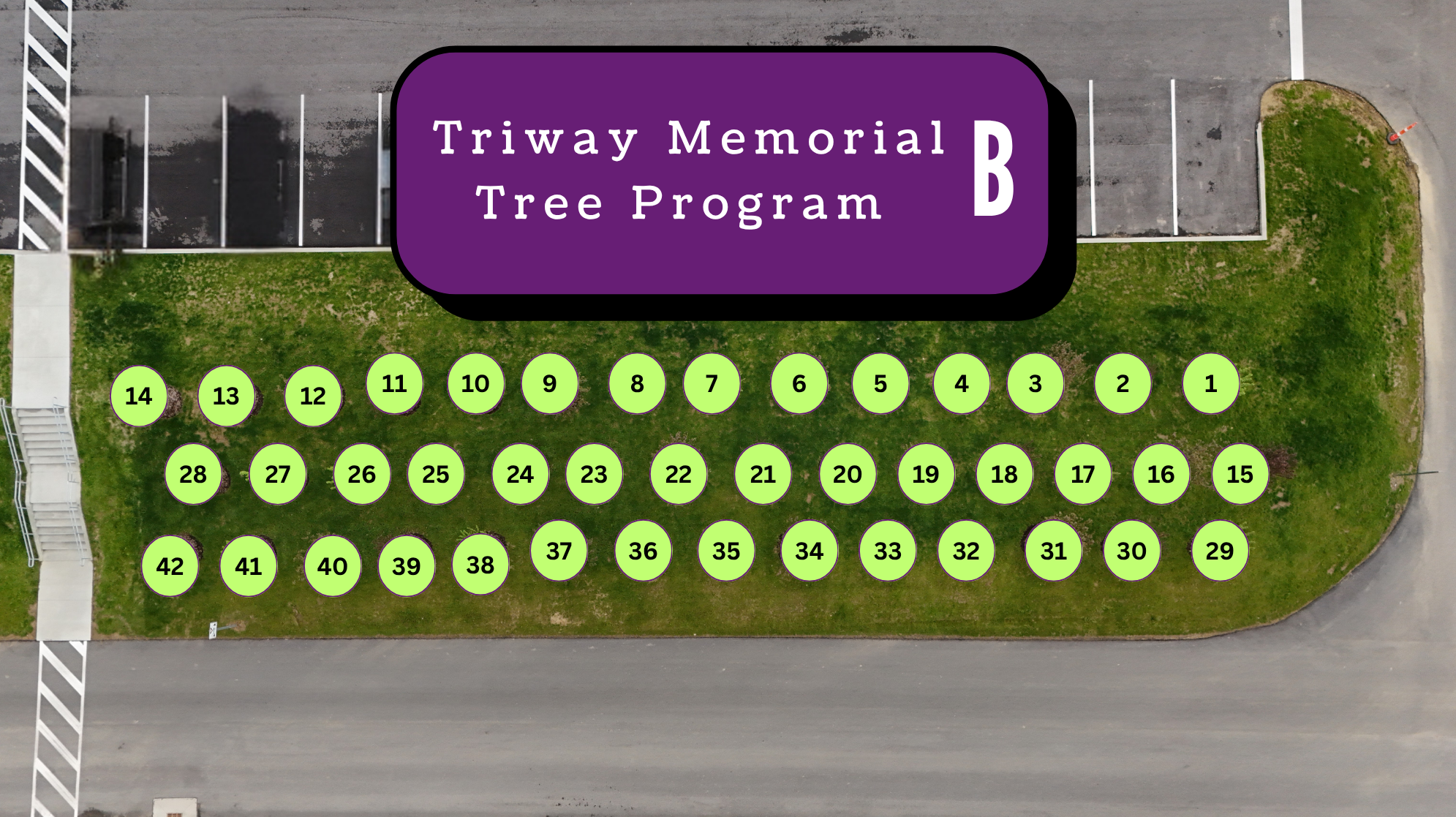 Aerial view of a parking lot with a section dedicated to the Triway Memorial Tree Program, marked with numbered green circles.