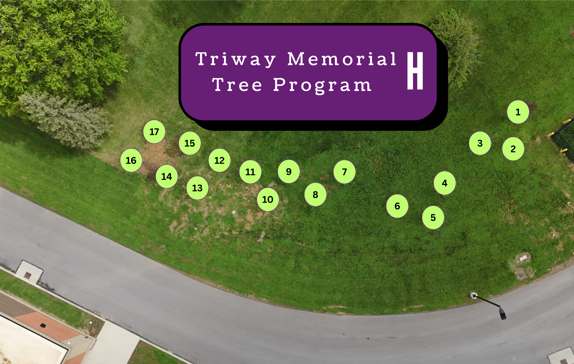 Aerial view of a grassy area with numbered green circles, indicating tree planting locations.