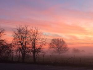 Spring Sunrise w/fog