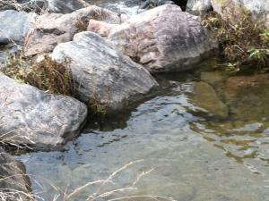 A River steam flows