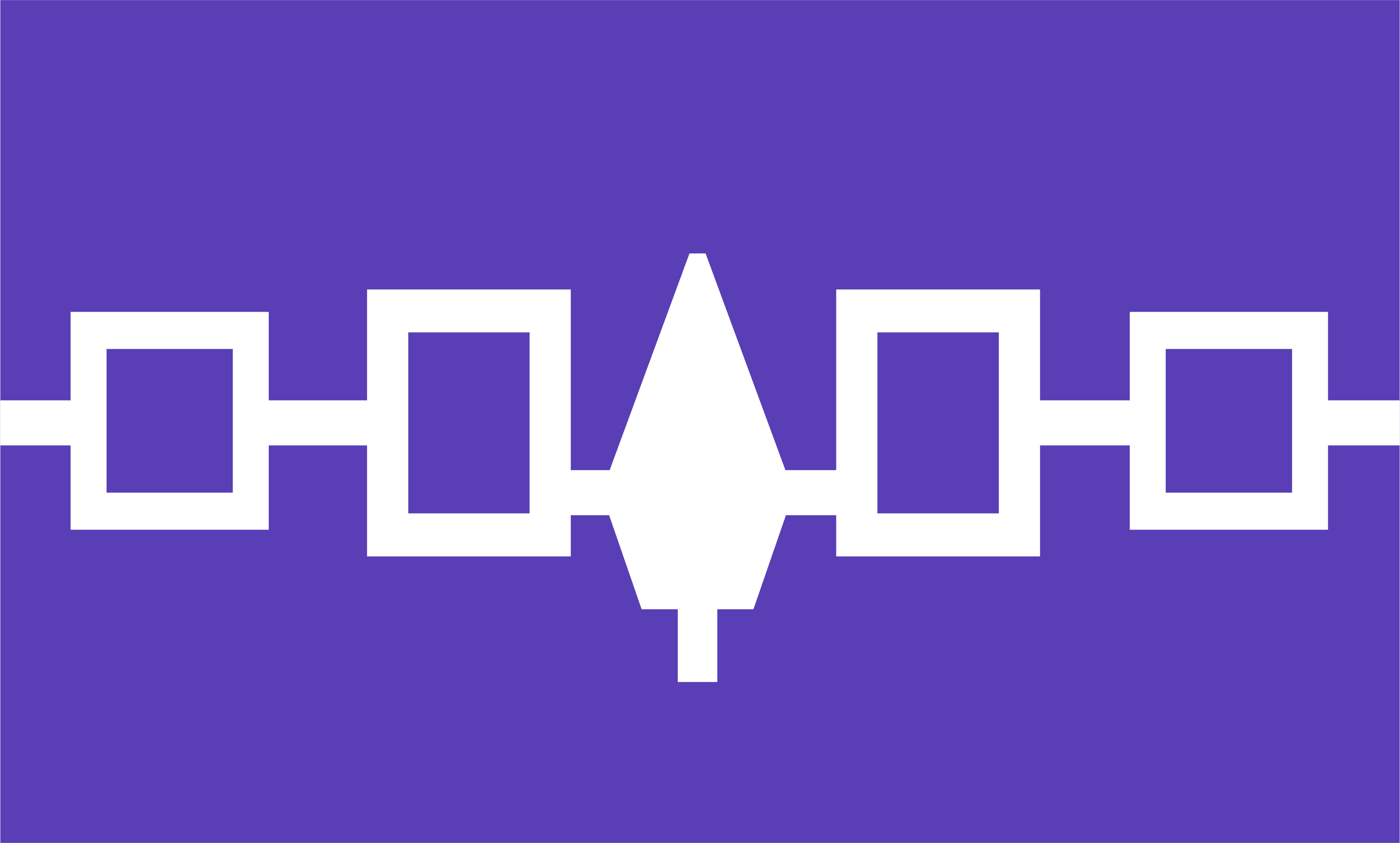 A purple flag with a white horizontal band featuring a central tree and connected squares.