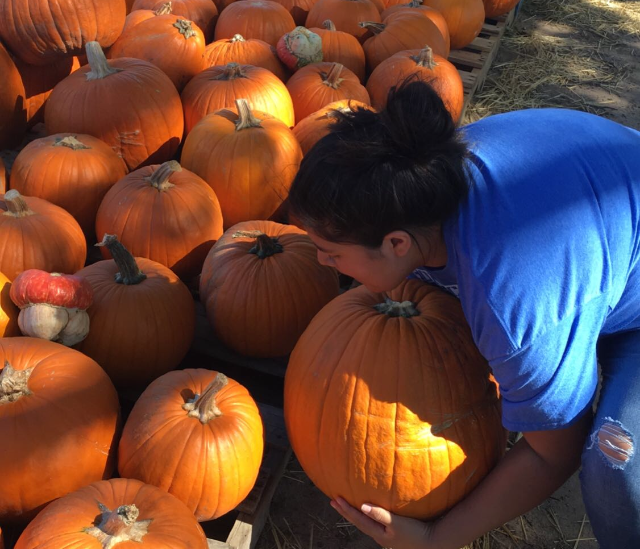 Enid High School Home