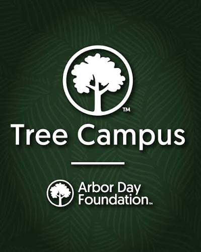 The Tree Campus logo features a stylized tree within a circle, set against a green background.