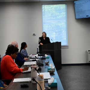 A woman presents at a podium to a group of people seated at a conference table.