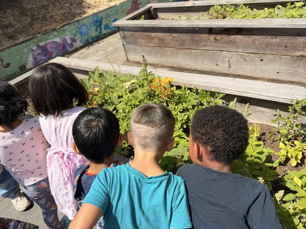 Children observe plants growing in raised garden beds.