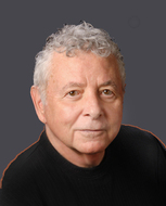 Larry Lowenthal Expert Witness