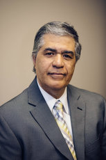 Elmer (Pete) Lewis, MBA,EA Expert Witness