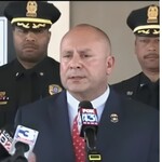 John Pallas Expert Witness