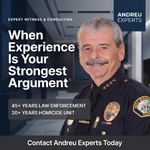 Nelson Andreu, EdD Expert Witness