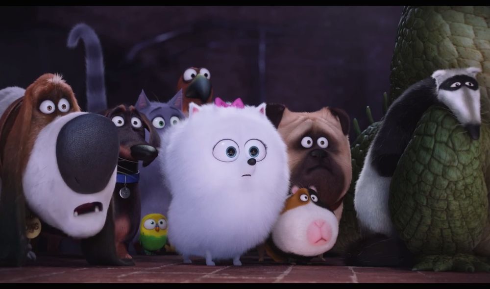 The Secret Life Of Pets Movie
